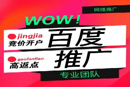 百度推广实战案例：助力企业实现品牌升级